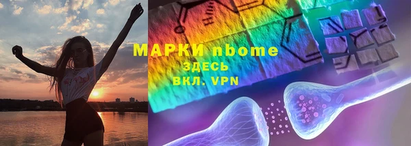 соль ск Дмитриев