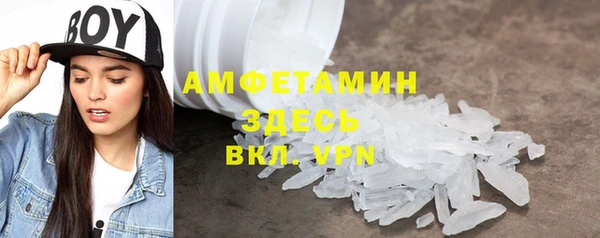 соль ск Дмитриев