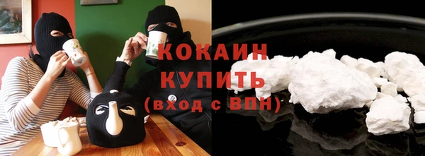 соль ск Дмитриев