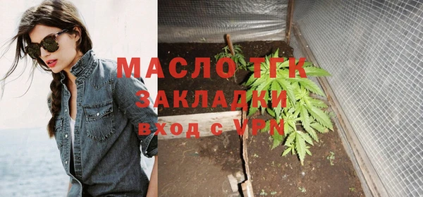 винт Ельня