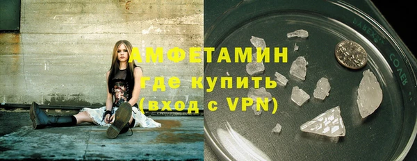 соль ск Дмитриев
