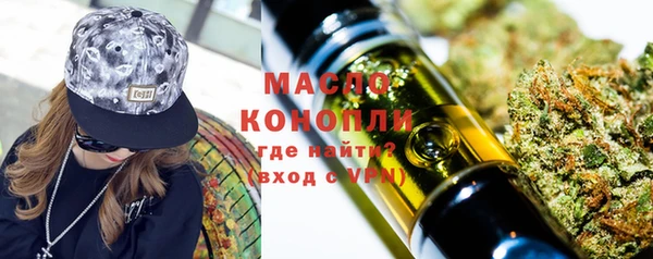 соль ск Дмитриев
