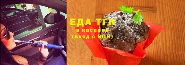 соль ск Дмитриев