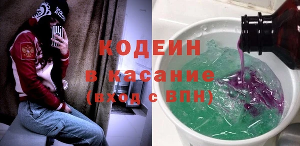 соль ск Дмитриев