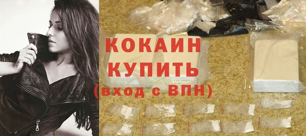 соль ск Дмитриев