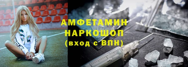 соль ск Дмитриев